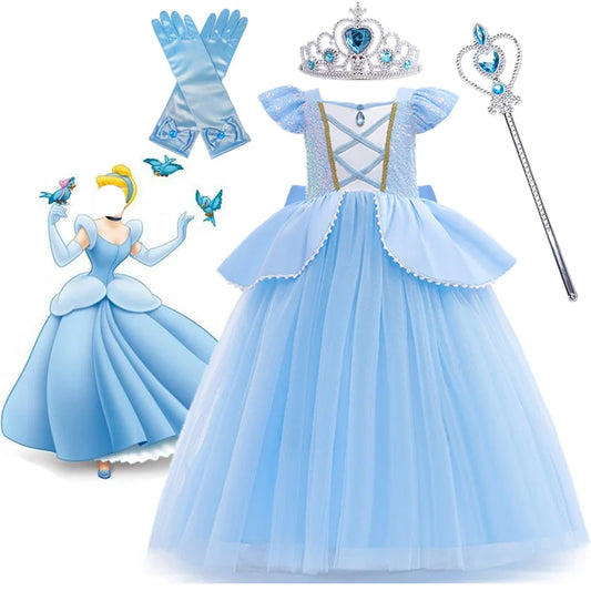 Cinderella costume Dresses for girls